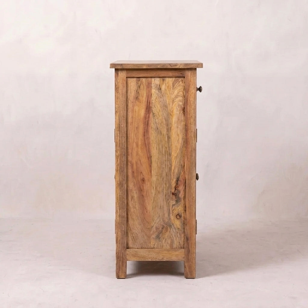 2 Door Cabinet with 1 Drawer
