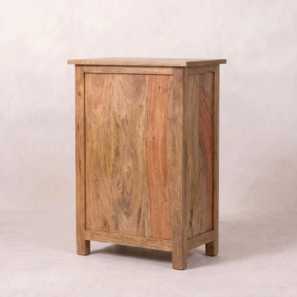 2 Door Cabinet with 1 Drawer