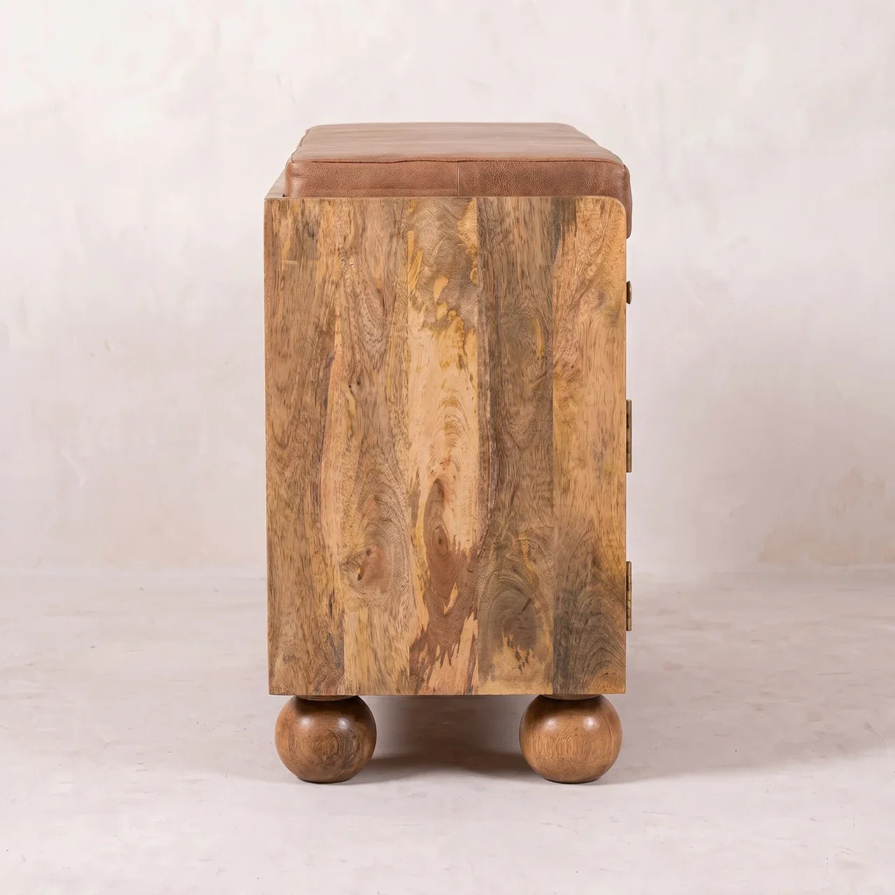 Oakridge Leather Shoe Cabinet