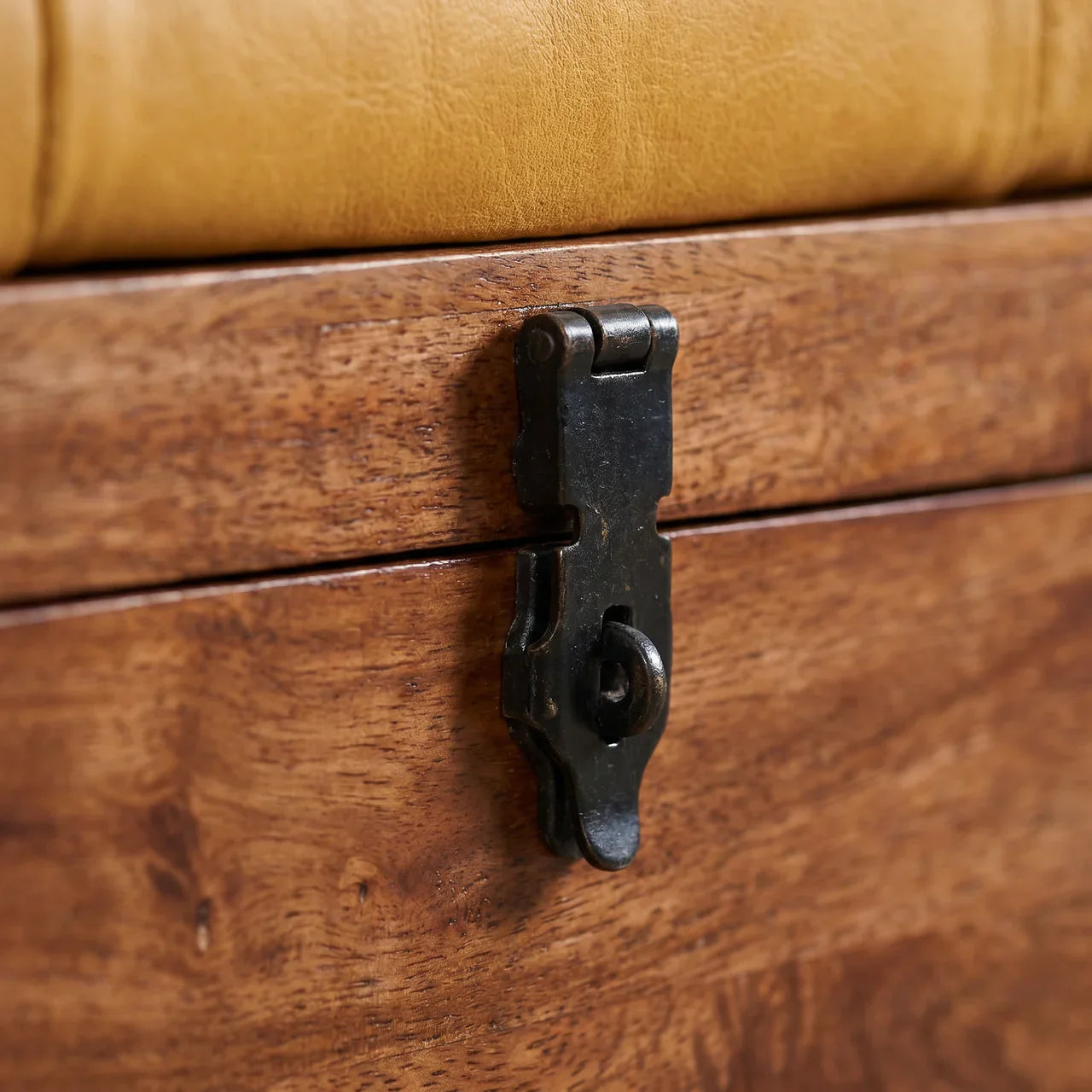 Buffalo Hide Honey Caramel Storage Trunk