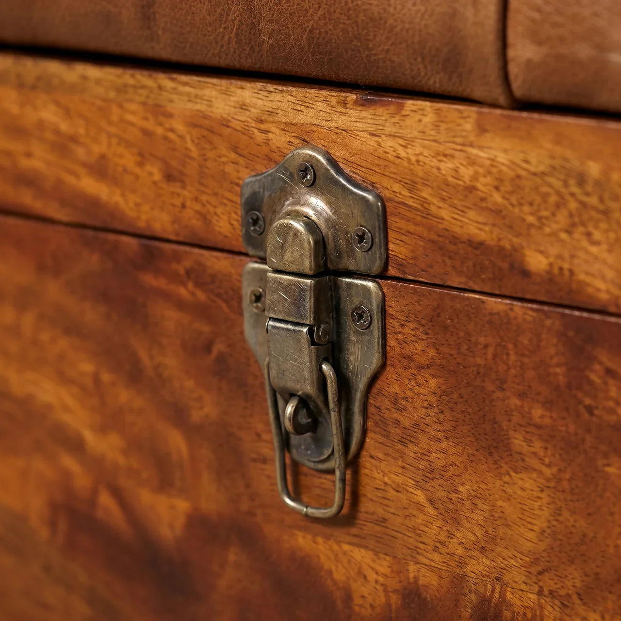 Buffalo Hide Chestnut Storage Trunk